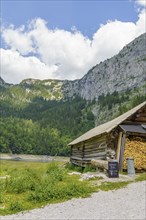 A wooden hut with a pile of wood in front of it, embedded in a mountainous and wooded landscape