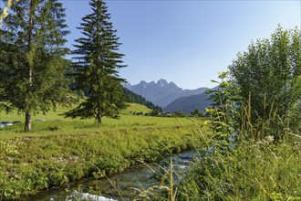 A stream flows through a green meadow with mountains in the background and tall trees on a clear