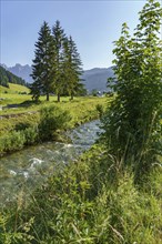 A small stream flows through a green meadow, surrounded by tall trees on a calm day, Gosau,