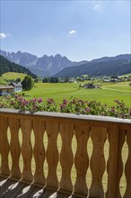 View from a balcony with blooming flowers onto a green meadow with mountains in the background on a