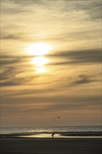 Picturesque sunset on a quiet beach with a lonely walker, langeoog, germany