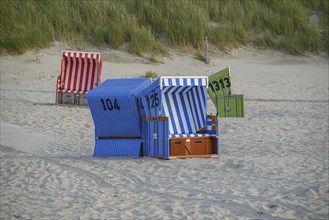 Various colourful beach chairs on the sandy beach near dunes, langeoog, germany