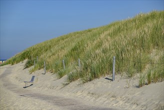 Grassy dunes with a wooden path on the beach under a clear blue sky, langeoog, germany