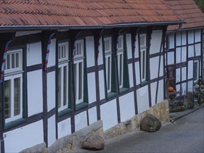 Row of half-timbered houses with white windows and red roofs lining a narrow lane in autumn,