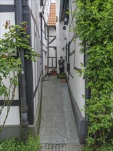 Narrow passageway between half-timbered houses, decorated with plants and roses, creates a peaceful