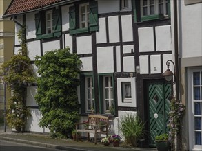 Charming half-timbered house with green windows and door, surrounded by plants and flower pots,