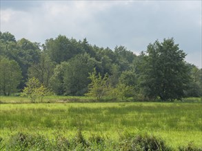 A sunny, peaceful landscape with extensive green meadows and dense tree cover, haaksbergen, .