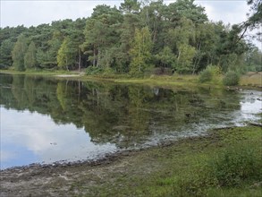 A lake with a calm water surface surrounded by a dense forest and green meadow, haaksbergen, .