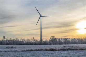 A large wind turbine stands on a snow-covered field at sunset, surrounded by bare trees, Velen,