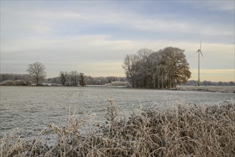 A peaceful winter pasture with a windmill and bare trees under a pale sky, Velen, North