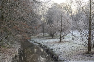 A small stream flows through a frosty winter landscape with bare trees and grass, Velen, North