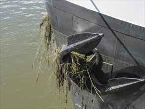 Close-up of a boat anchor covered with seaweed and algae in the water, Doesburg, Netherlands