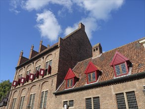 Historic brick building with skylights under a blue sky, Doesburg, Netherlands