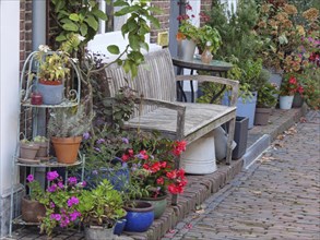 A wooden bench surrounded by various flower pots and plants on a house wall, Doesburg, Netherlands