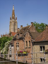 Historic buildings with brick facades and a high church tower, balcony flowers decorate the