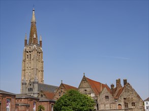 Historic church tower and buildings with tiled roofs, trees and blue sky on a sunny day, Bruges,