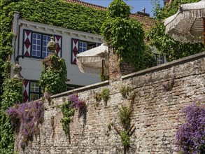 An ivy-covered house with decorative shutters, umbrellas on a stone wall, lined with red tiled