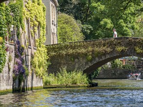 An old bridge overgrown with plants crosses a river, surrounded by lush vegetation and historic