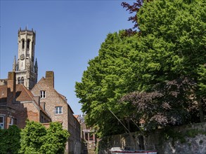 Historic houses and a tower surrounded by lush green foliage on a sunny day, Bruges, Belgium,