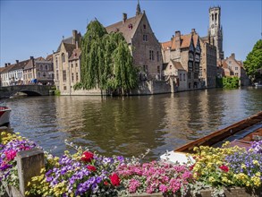 Colourful blooming flowers on the canal in front of historic buildings with boats under a clear