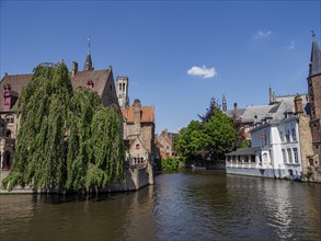Idyllic scene with medieval buildings and trees on a quiet canal under a clear sky, Bruges,