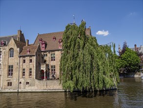 Old brick building on a water canal with hanging trees, in the background a clear blue sky, Bruges,