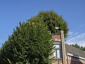 A brick building with a large tree showcasing architectural details such as wooden beams and a year