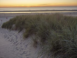 Dunes with grass on the beach during sunset, with the sea in the background, langeoog, germany