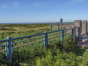 Metal railing with green vegetation and flowers against a background of sea and blue sky, langeoog,