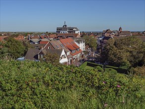 View over a town with red roofs and green plants under a clear sky, langeoog, germany