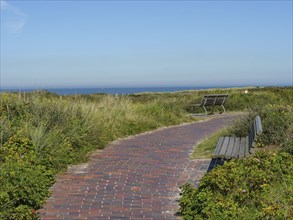 A cobbled path with benches leads through a wide, green dune landscape under a blue sky, langeoog,