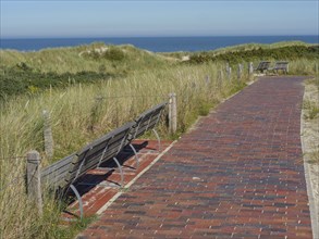 Paved path with benches between green dunes and a view of the sea, langeoog, germany