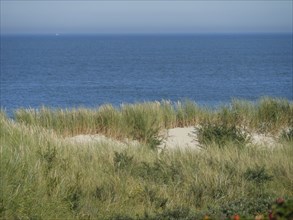 Green dunes and grass in the foreground with a view of the calm, blue sea under a cloudless sky,