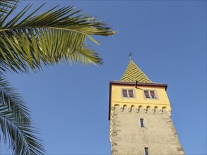 Building tower with patterned roof next to palm leaves under a clear sky, Lindau, Lake Constance,