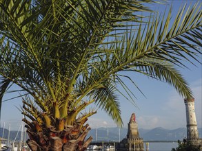 Palm trees framing a harbour with statue and lighthouse in sunny weather, Lindau, Lake Constance,