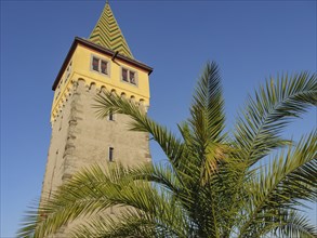 High tower with colourful roof, in the foreground a palm tree, under a bright blue sky, Lindau,