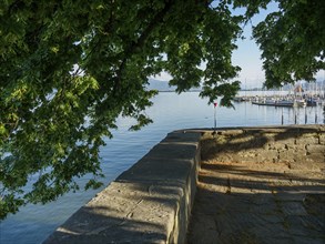 Shore view of a lake with trees and harbour boats in the background, Lindau, Bavaria, Germany,