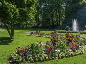 Blooming flower beds in a green park with trees and a fountain, Lindau, Bavaria, Germany, Europe