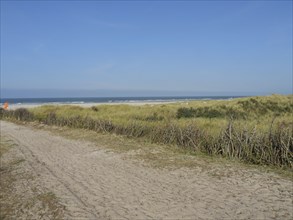 A path leads along the beach, dune grass on both sides and a blue sky in the background, juist,