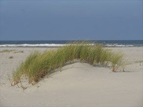 Sand dunes with dune grass and peaceful sea view, blue sky, juist, east frisia, germany