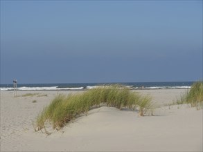 Sand dunes with dune grass and calm sea, blue sky, juist, east frisia, germany