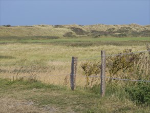 Green meadow with wooden fence and dunes in the background on a clear day with blue sky, juist,