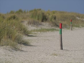 Border posts mark a sandy path through the dunes with grass under a blue sky, juist, east frisia,