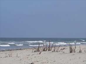 Dune beach with driftwood stumps and waves in the background, juist, east frisia, germany