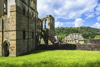 Rievaulx Abbey, North York Moors National Park, North Yorkshire, England, UK