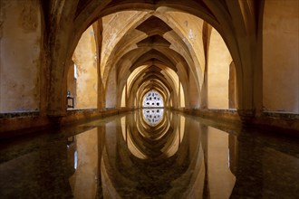 Banos de Dona Maria de Padilla, Baths of Dona Maria de Padilla, in the Moorish royal palace Real