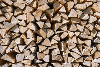 Firewood, logs, stacked, full-size, Canton Thurgau, Switzerland, Europe