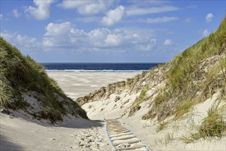 Dune path to Kniepsand and North Sea, Amrum, North Frisian Island, North Frisia,