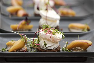 Appetizer dish from savory cream and goat cheese on pumpernickel bread with rhubarb pieces and