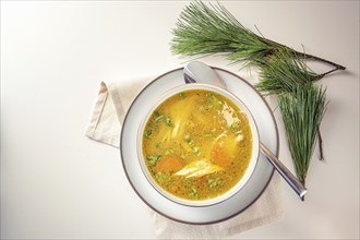 Healthy curry soup with chicken, vegetables and parsley in a bowl, home remedy against cold and flu